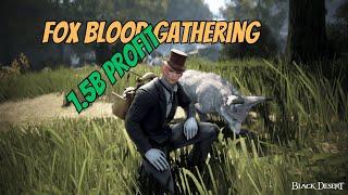 BDO Life | Fox Blood Gathering   1.5B PROFIT