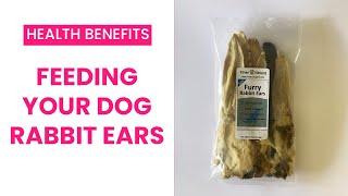 Rabbit ear treats for dogs: Learn the benefits