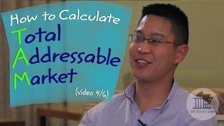 How to Calculate Total Addressable Market (TAM) - Feat. Thyme Labs (Pt 4/6)