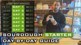 Sourdough Starter from Scratch: Easy Step-by-Step Guide for Beginners