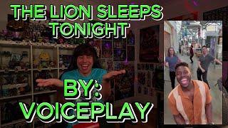 THIS FRIED MY BRAIN IN THE BEST WAY!!!!!!!!!! Blind reaction to Voiceplay - The Lion Sleeps Tonight