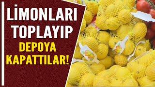 LİMONLARI TOPLAYIP DEPOYA KAPATTILAR!