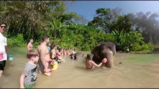 Elephant Santuary Thailand Phuket Part 5 Michael and Marlina Travel Log5