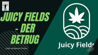 Juicy Fields – Die ganze Geschichte eines riesen Betrugs.