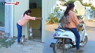 Relaxing Afternoon | Happy Family Kako With Luna And Mom Riding Motorbike