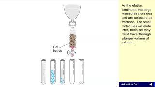 Gel filtration chromatography