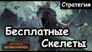 Раш бесплатными скелетами. Стратегия Вампиров. Total War Warhammer 2.