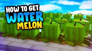 NEW* How to GET Watermelon SEEDS!! in Roblox Islands (Skyblock)