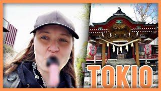 Japan Vlog | Pen*s Festival | Outdoor Anca
