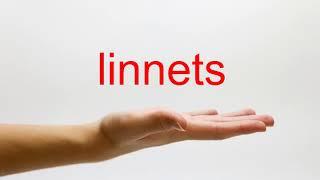 How to Pronounce linnets - American English