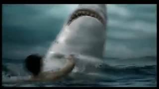 funny ads - Pet - Shark