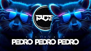 PSYTRANCE ● Raffaella Carrà - Pedro (Mental Job x Nobz Remix) TikTok Song