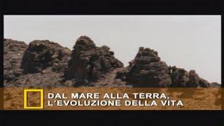 Dal mare alla terra, l’evoluzione della vita (2001)