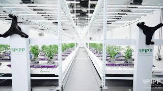 The #1 Vertical Farming Equipment to Elevate Your Cultivation | Pipp Horticulture