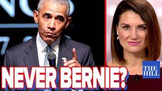 Krystal Ball: What will Obama do to stop Bernie Sanders