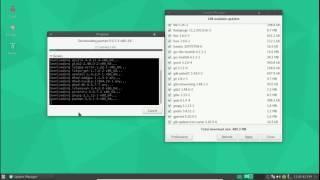 Manjaro Linux Challenge 3 Terminal Updates