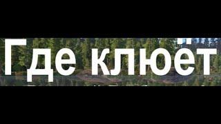 "Волхов" [Русская рыбалка 4] Russian fishing / хорошо ловился Синец и Трофейный Подуст.