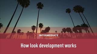 Colourlab Tutorial No3 - How look development works