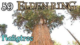 Let's Play! Elden Ring -59- The Haligtree Begins