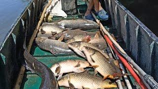 100 Kg FISHING (DOCUMENTARY-TASED -CARP FISH-BROADCAST FISH-FISHING WITH SPREADING)
