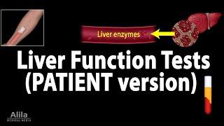 Liver Function Tests, Animation for Patients