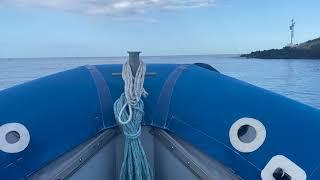 Whale Watch - Kona Hawaii - Kona Snorkel Trips