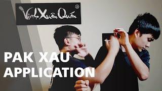 1. Basic WingChun Hand Fighting Application - Pak Xau P.1 // Jay Nguyen EZWingChun (Vietsub)