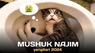 Najim pishak qaytdi! Eng yangilari 2024!