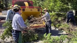 FIRESafe MARIN Evacuation Route Improvements: Enterprise Concourse, Tam Valley 2019/10/09