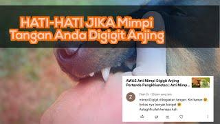 Begini Penjelasan Mimpi Digigit Anjing Pada Tangan menurut Analisa @KlenikTV