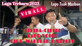 VIRAL COVER LAGU TERBARU LAPO VOICE CIPIKA-CIPIKI CIPT. MARULAK NAPITU