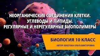 Неорганические соединения клетки. Углеводы и липиды. Регулярные и нерегулярные биополимеры