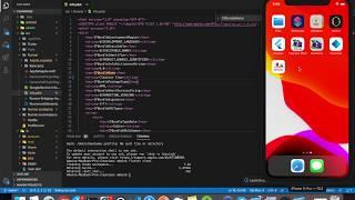 How To Change App Display Name - Flutter XCode Android and IOS