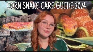 The ULTIMATE Corn Snake Care Guide | 2024