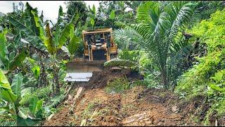 Thebest!! Skilled CAT D6R XL Bulldozer Operator Creates New Road in Banana Plantation