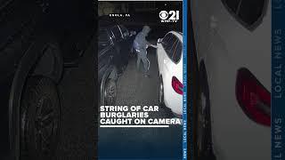 String of car burglaries caught on camera in Enola