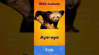 Wild Animals by Kids Learning Zone 005