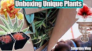 Unboxing Lots of New and Unusual Plants