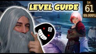 Level Guide | Schnellster Weg auf Level 61 | Black Desert Online (BDO) - Wakayashi