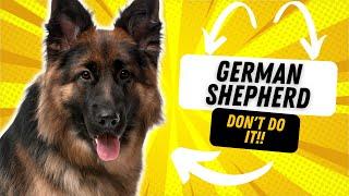 WHY YOU SHOULDN'T GET A GERMAN SHEPHERD