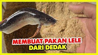 Cara membuat pakan alternatif lele dari dedak