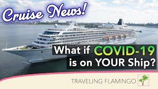 Cruise Line News | What Happens If There Is Covid19 On Your Cruise? - Part 2/2