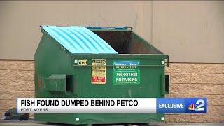 Live animals found thrown in dumpster behind Fort Myers pet store