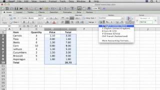 How to Put a Price in Excel : MS Excel Tips