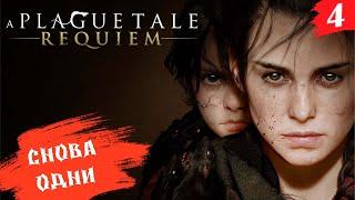 A Plague Tale: Requiem  PC[2K] ◉ Часть 4. Везде разруха.... и без ответов