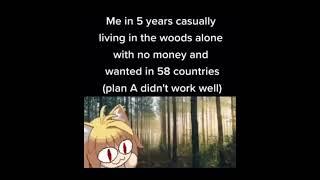 Me in 5 years casually living in the woods alone with no money and wanted in 58 countries