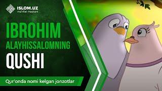 06. Ibrohim alayhissalomning qushi (2-qism) | Qur'onda nomi kelgan jonzotlar