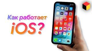 How to use an iPhone? Complete iOS overview for new users!