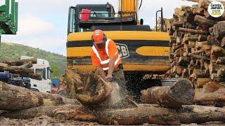 How one Scottish firm is at the heart of UK's firewood boom