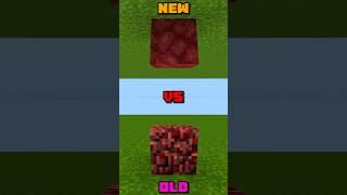 MINECRAFT: NEW v.s OLD Version #shortsminecraft